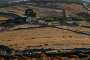 Patmos fields