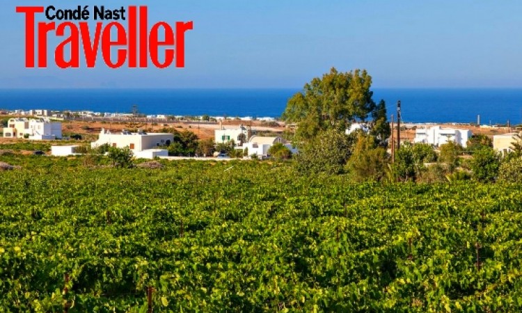 CNT: Santorini in 9 Hottest Wine Destinations of 2016